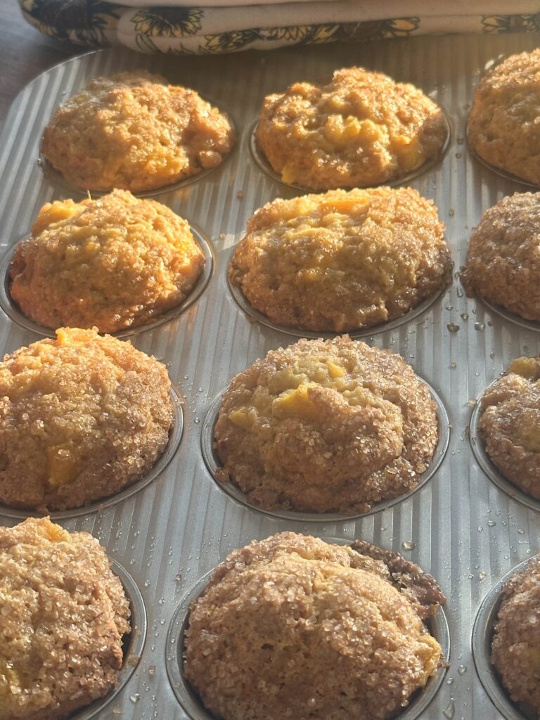 Golden brown mango muffins in a silver muffin tray, glistening with sugar crystals under warm morning sunlight, with sunflower-printed kitchen cloths in the background.