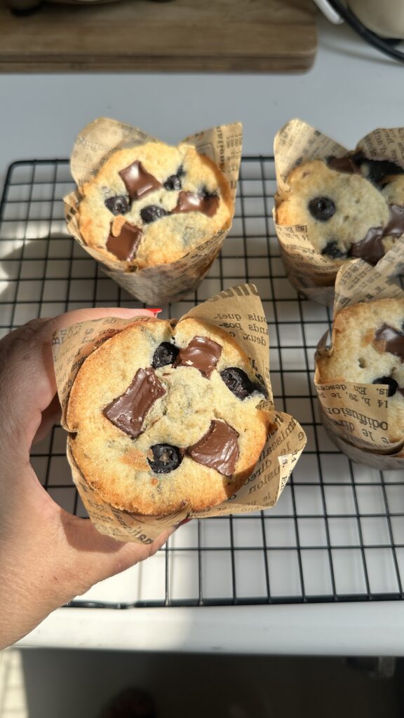Hand holding a single Blueberry Chocolate Muffin with golden top and melted chocolate chunks in natural sunlight